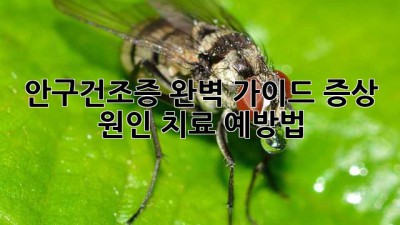 안구건조증 완벽 가이드: 증상, 원인, 치료, 예방법