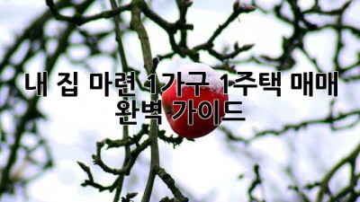 내 집 마련, 1가구 1주택 매매 완벽 가이드🏠