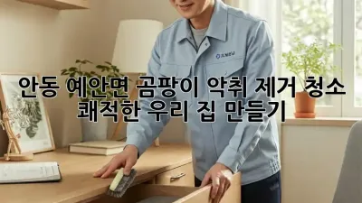 🏡 안동 예안면 곰팡이 악취 제거 청소, 쾌적한 우리 집 만들기! ✨