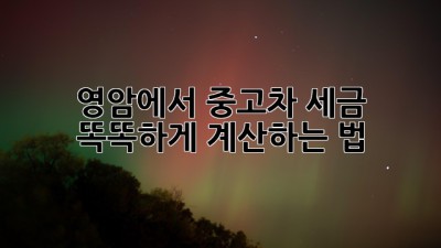 영암에서 중고차 세금 똑똑하게 계산하는 법 🚗💨