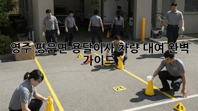 영주 평은면 용달이사 차량 대여 완벽 가이드