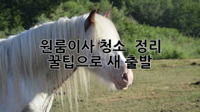 📦✨ 원룸이사, 청소 & 정리 꿀팁으로 새 출발! 🏡💖