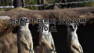 멜라루카 티트리 오일 완벽 가이드